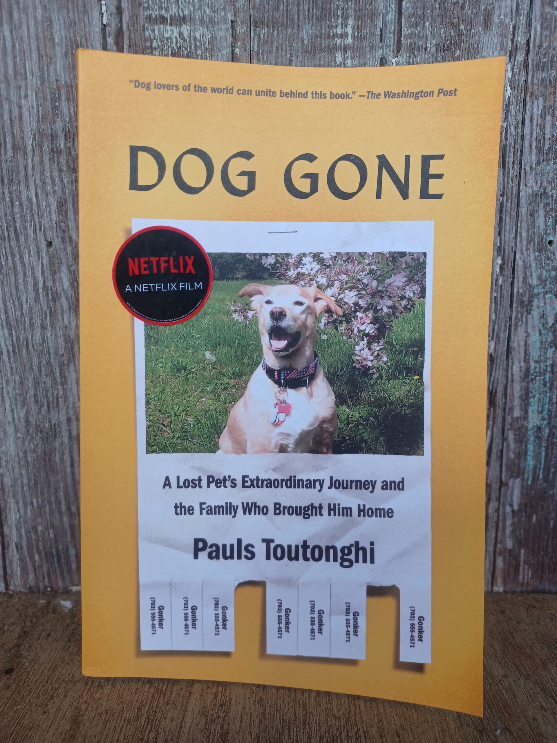 Unveiling the Inspiring Story of 'Dog Gone' by Pauls Toutonghi