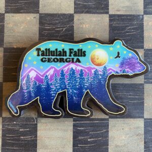 Multicolor TF-GA Bear